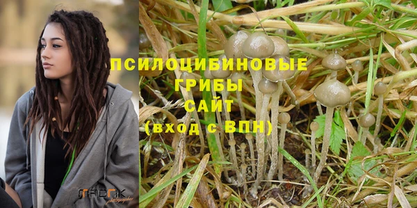 гидра Беломорск