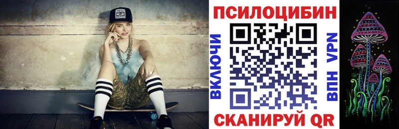 Псилоцибиновые грибы мицелий  купить  цена  Симферополь 